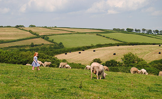 Working on the Frogmore Farm, West Dorset
